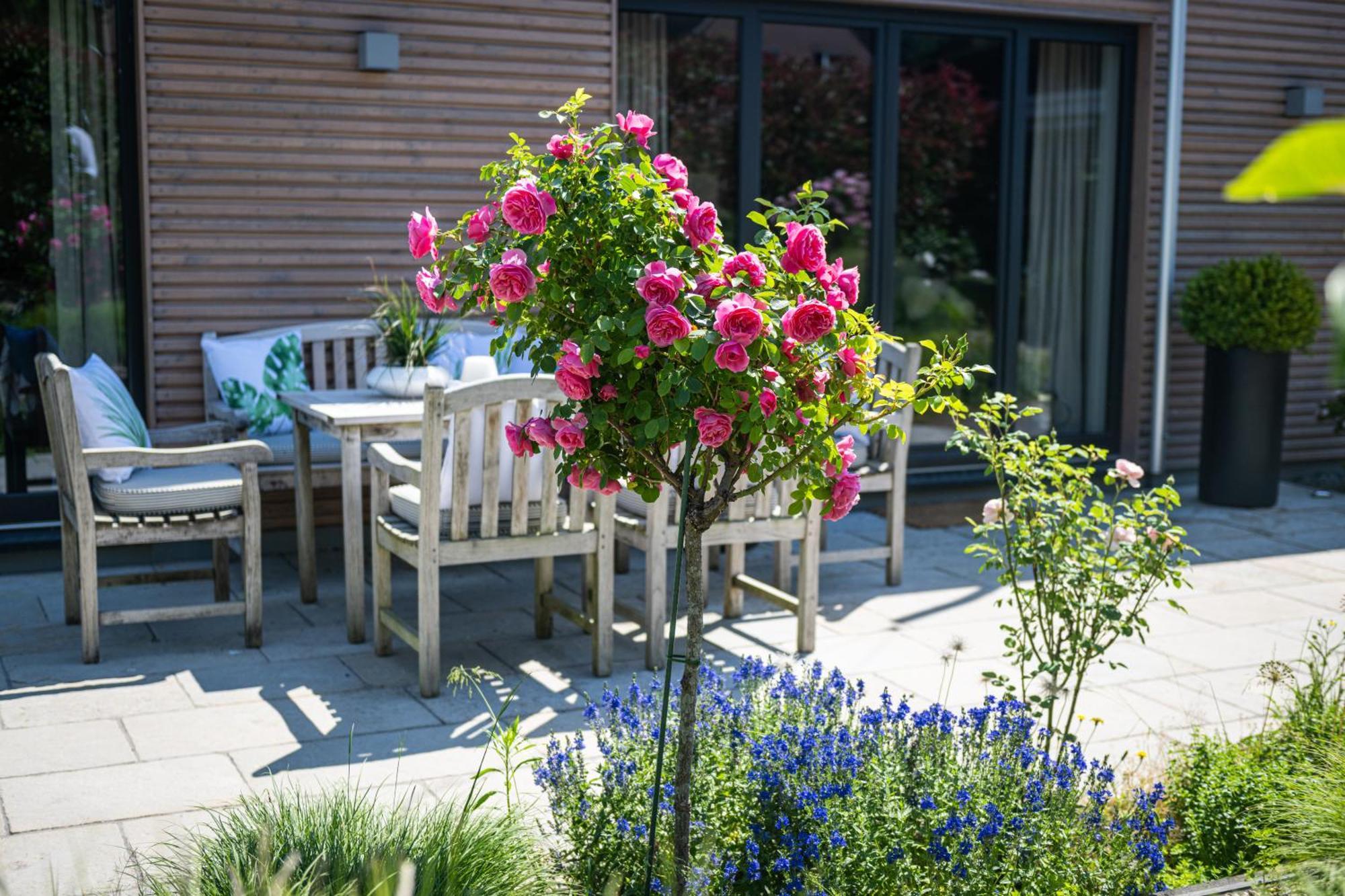 Deine Genuss-Auszeit Villa Asendorf ภายนอก รูปภาพ