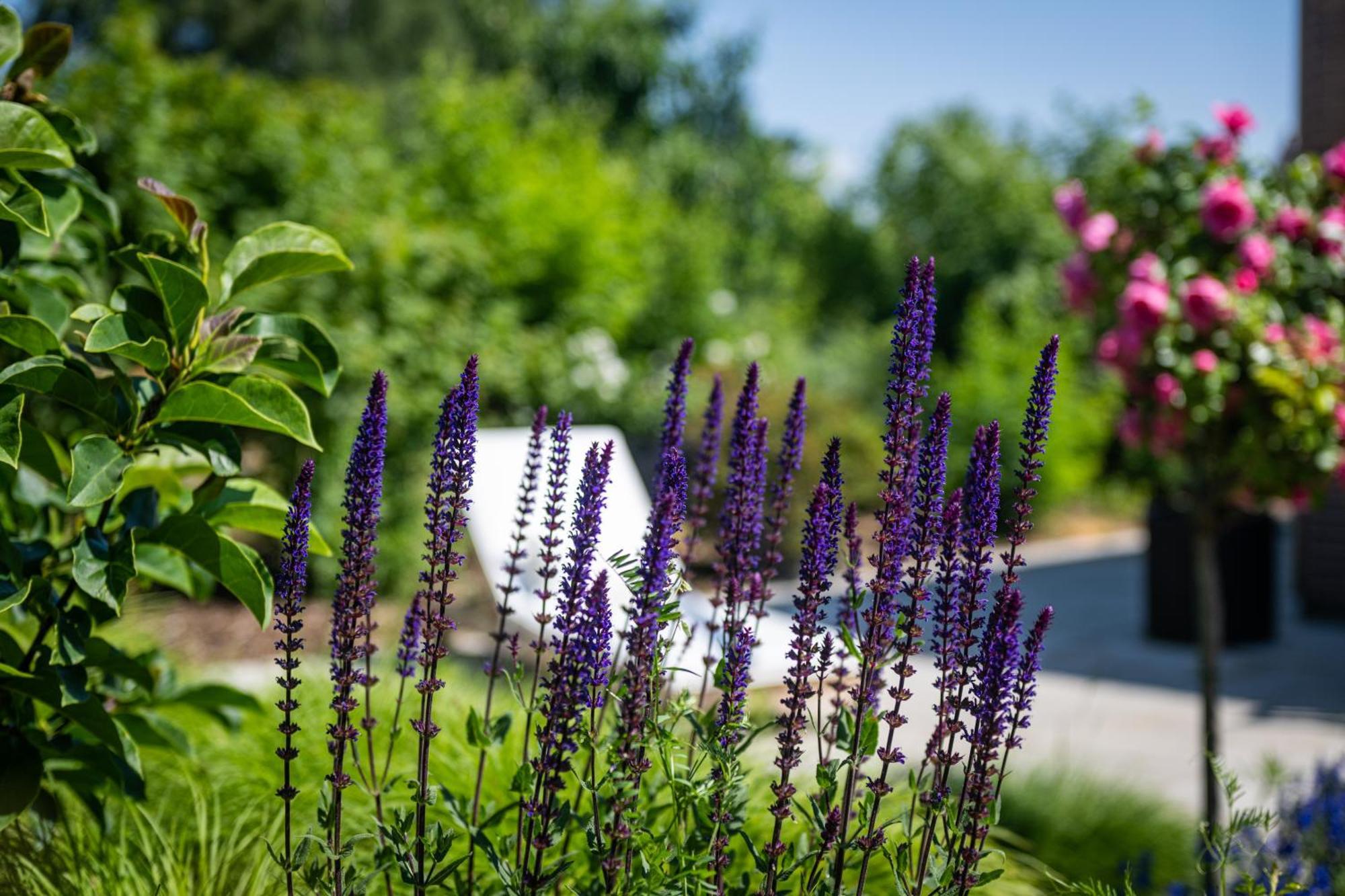 Deine Genuss-Auszeit Villa Asendorf ภายนอก รูปภาพ